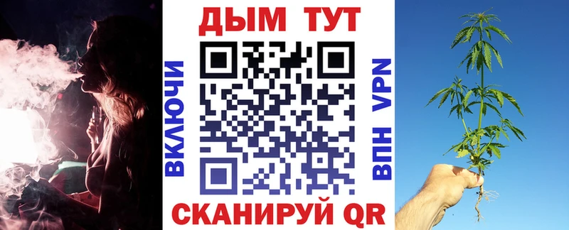 Как найти наркотики Орехово-Зуево A PVP  hydra ONION  COCAIN  Галлюциногенные грибы  ГАШ  Амфетамин 