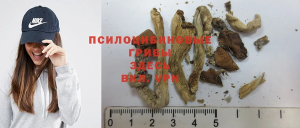 мдпв Вязники