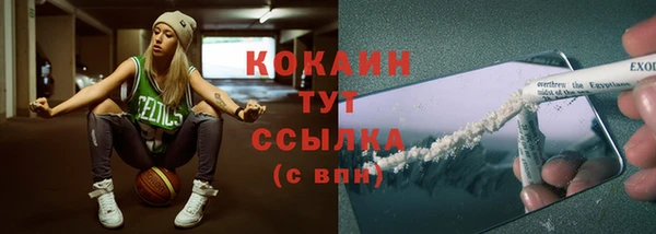 МДПВ Вяземский