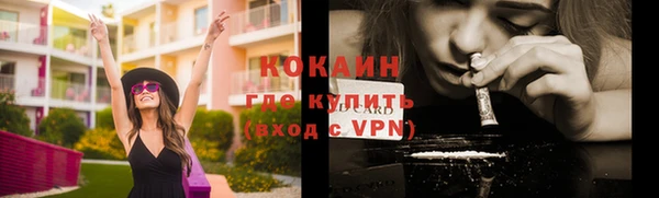 МДПВ Вяземский