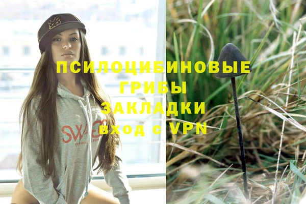 трава Вязьма