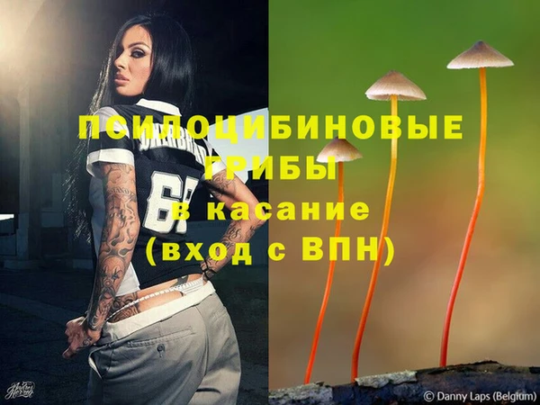 трава Вязьма