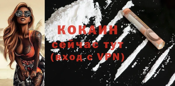 МДПВ Вяземский