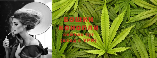 трава Вязьма