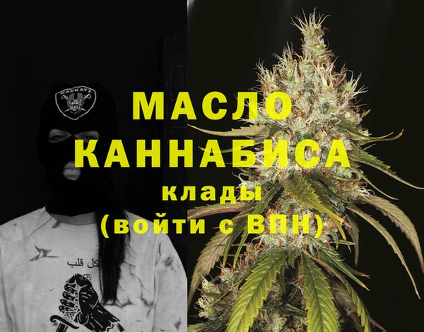 МДПВ Вяземский
