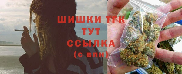 МДПВ Вяземский