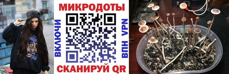наркота  Орехово-Зуево  Псилоцибиновые грибы Magic Shrooms 